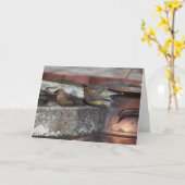 ヒメレンジャクおよびBirdbath カード (黄色い花)