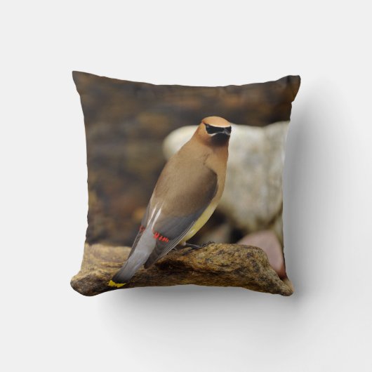 ヒメレンジャクのアメリカ人のMoJoの枕 クッション (正面)