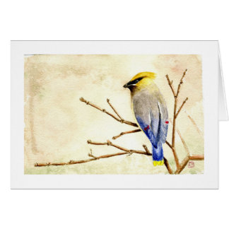 ヒメレンジャク