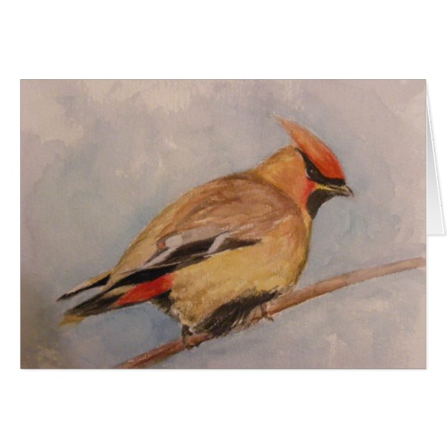 ヒメレンジャク (正面横)