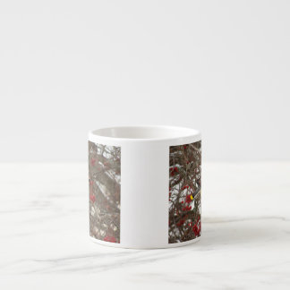 ヒメレンジャク エスプレッソカップ