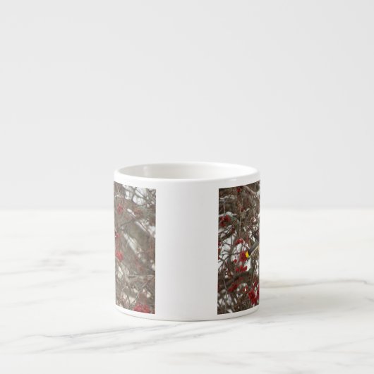 ヒメレンジャク エスプレッソカップ (正面)