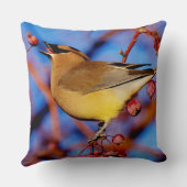 ヒメレンジャク クッション (裏面)