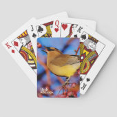 ヒメレンジャク トランプ (裏面)