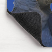 ヒヤシノマコオウム鳥レアブルー マウスパッド (コーナー)