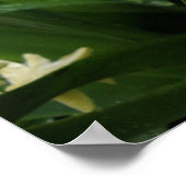 ヒヤシンスと雨粒プリント ポスター (角)