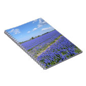 ヒヤシンスの分野 ノートブック (右側)