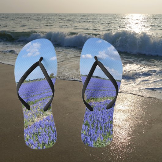 ヒヤシンスの分野 ビーチサンダル