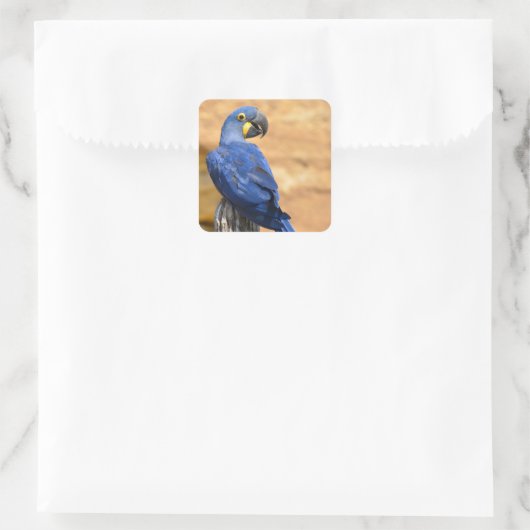 ヒヤシンスの動物が木の柱に止まっていた スクエアシール (バッグ)