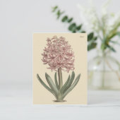 ヒヤシンスの植物画 ポストカード (スタンド正面)