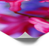 ヒヤシンスの花 ポスター (角)