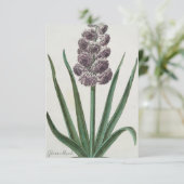 ヒヤシンスの花(Johann Michael Selligmann) カード (スタンド正面)