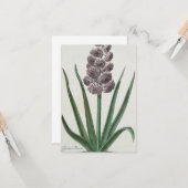 ヒヤシンスの花(Johann Michael Selligmann) カード (正面/裏面インサイチュ)