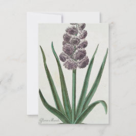 ヒヤシンスの花(Johann Michael Selligmann) カード
