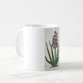 ヒヤシンスの花(Johann Michael Selligmann) コーヒーマグカップ (正面左)