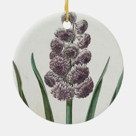 ヒヤシンスの花(Johann Michael Selligmann) セラミックオーナメント (裏面)