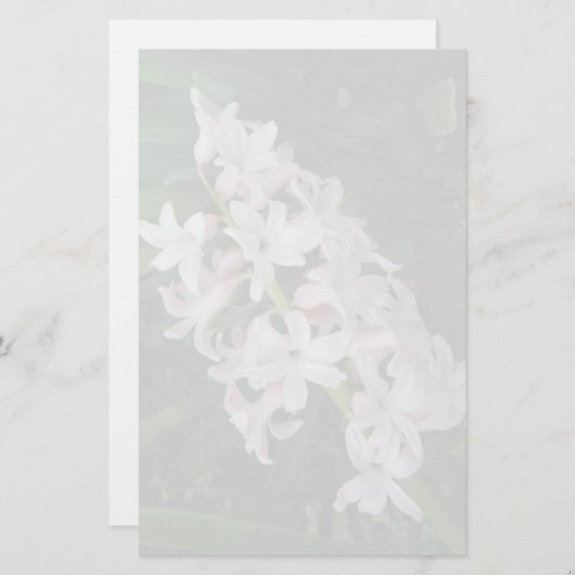 ヒヤシンス文房具 便箋 (正面/裏面)