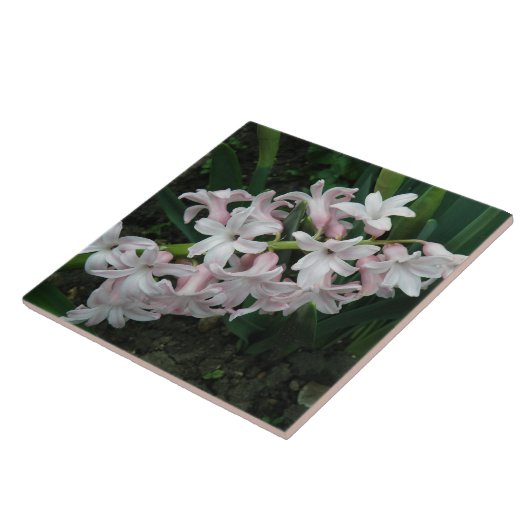 ヒヤシンス瓦 タイル (側面)