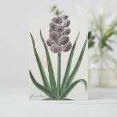 ヒヤシンス（グロリアムンディ） 招待状 (スタンド正面)