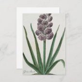 ヒヤシンス（グロリアムンディ） 招待状 (正面/裏面)