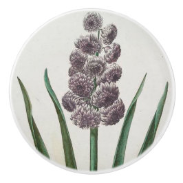 ヒヤシンス セラミックノブ