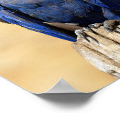 ヒヤシンス・マカオのクローズアップ ポスター (角)