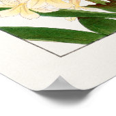 ヒヤシンス、紫の白と黄色の花を咲かせる湖南。 ポスター (角)