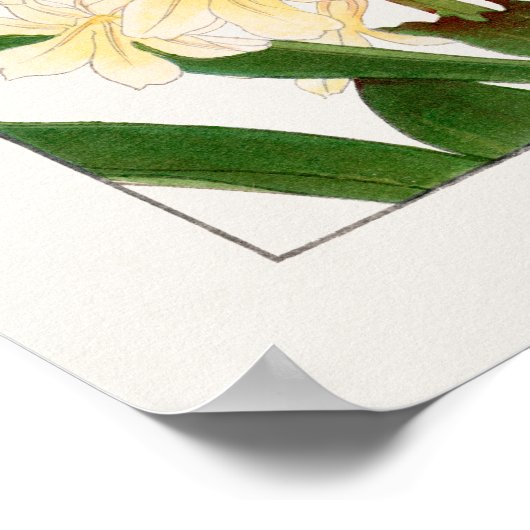 ヒヤシンス、紫の白と黄色の花を咲かせる湖南。 ポスター (角)