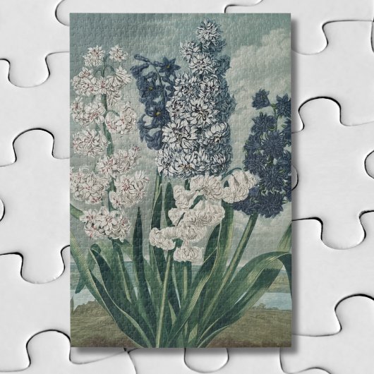 ヒヤシンス (1807) – 極上のヴィンテージ植物画 ジグソーパズル