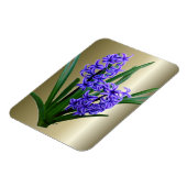 ヒヤシントフラワーインフル開花 マグネット (左側)