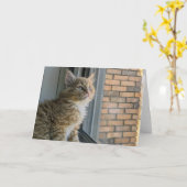 ヒュイは世界を見る カード (黄色い花)