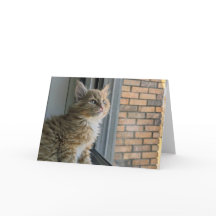 ヒュイは世界を見る