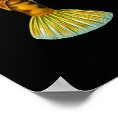 ヒュンバックターレツフィッシュエルンストヘッケルファインアート ポスター (角)