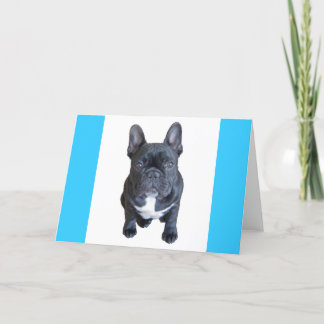 ヒューゴーカード カード