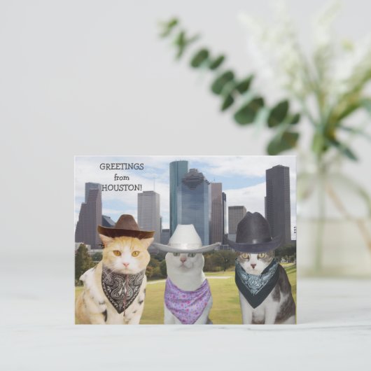 ヒューストおもしろいンからの猫・猫ちゃんの挨拶 ポストカード (スタンド正面)