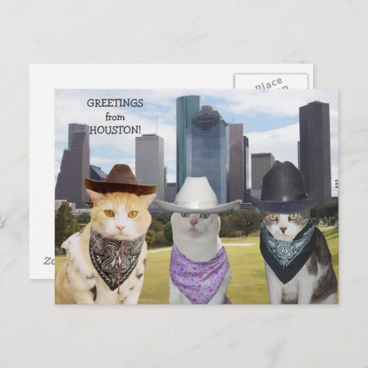ヒューストおもしろいンからの猫・猫ちゃんの挨拶 ポストカード (正面/裏面)