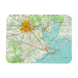 ヒューストンテキサス州はがき マグネット