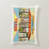 ヒューストンテキサス州TX古いヴィンテージ旅行記念品 アクセントクッション (裏面(縦))