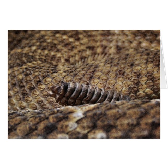 ヒューストン動物園 (正面横)