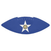 ヒューストン国旗を持つアメリカンフットボール アメリカンフットボール (パネル)