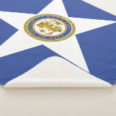 ヒューストン国旗を持つシェルパ毛布 シェルパブランケット (3/4)