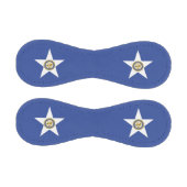 ヒューストン国旗を持つ愛国野球 野球ボール (パネル)