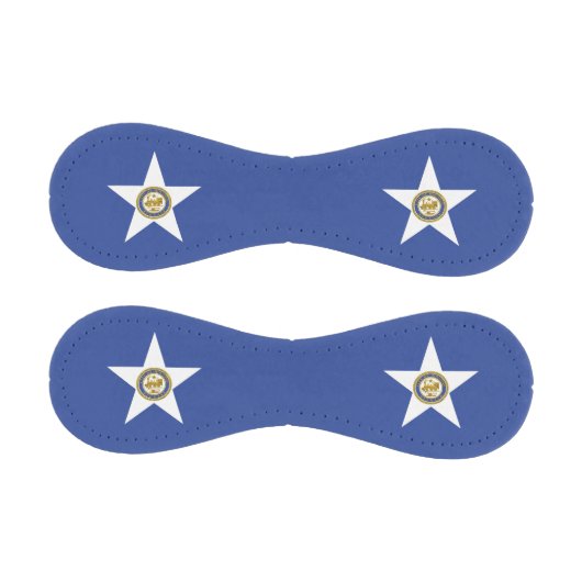 ヒューストン国旗を持つ愛国野球 野球ボール (パネル)