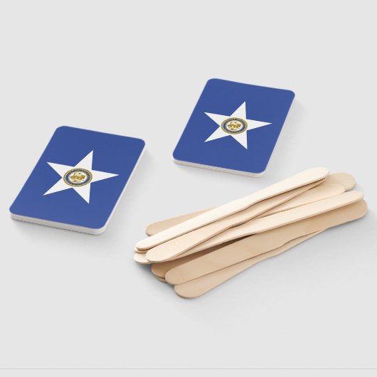 ヒューストン国旗を掲げたハンドファンのセット ハンドファン (組立なし)