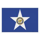 ヒューストン国旗を掲げた愛国的な壁のポスター ポスター (正面)