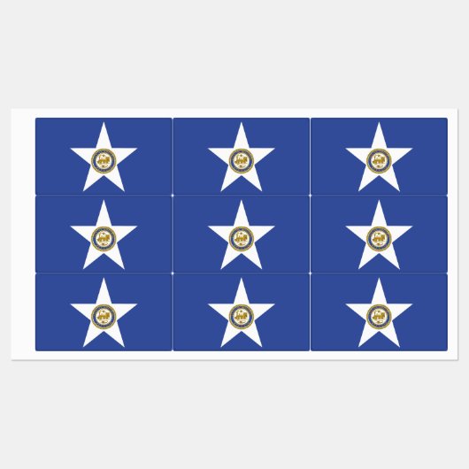 ヒューストン市旗と愛国的なラベル ラベル (シート)