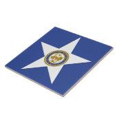 ヒューストン市旗タイル タイル (側面)