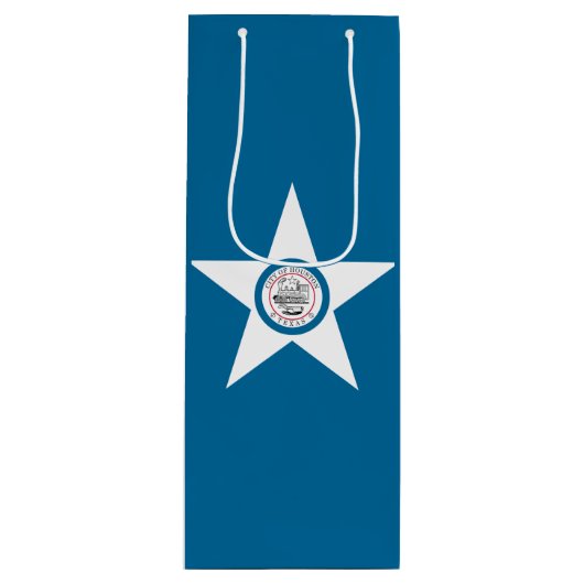 ヒューストン市旗テキサス州ワイン抱き枕 ワインギフトバッグ (正面)