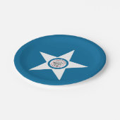 ヒューストン市旗テキサス州紙プレート ペーパープレート (アングル)