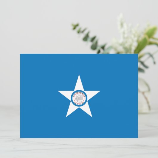 ヒューストン市旗 (スタンド正面)